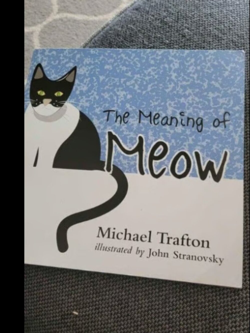 The meaning of meow book